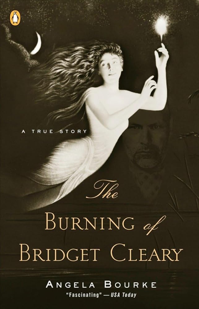 The Burning of Bridget Cleary: A True Story cover image