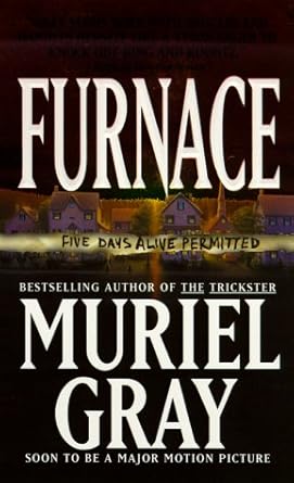 Furnace cover image
