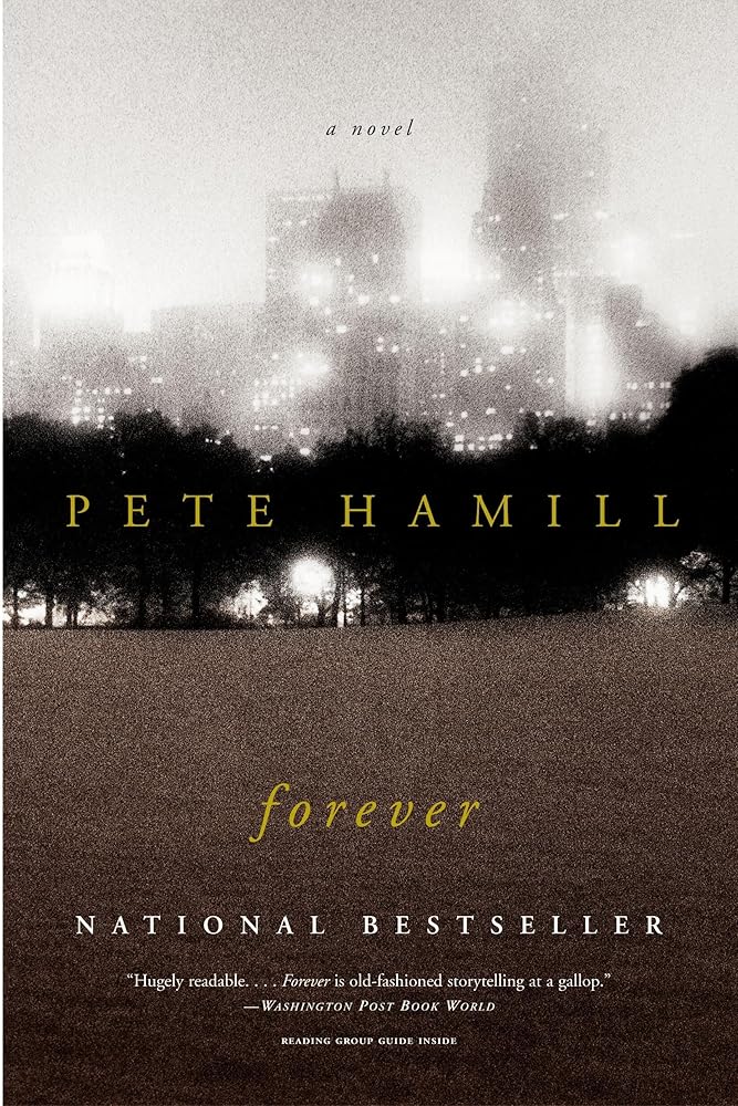 Forever: A Novel cover image