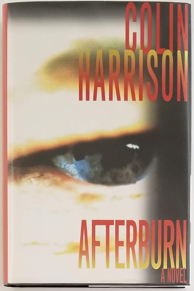 Afterburn: A Novel cover image