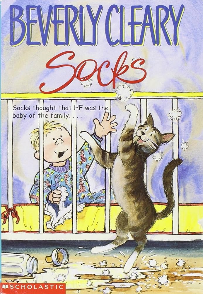 Socks cover image
