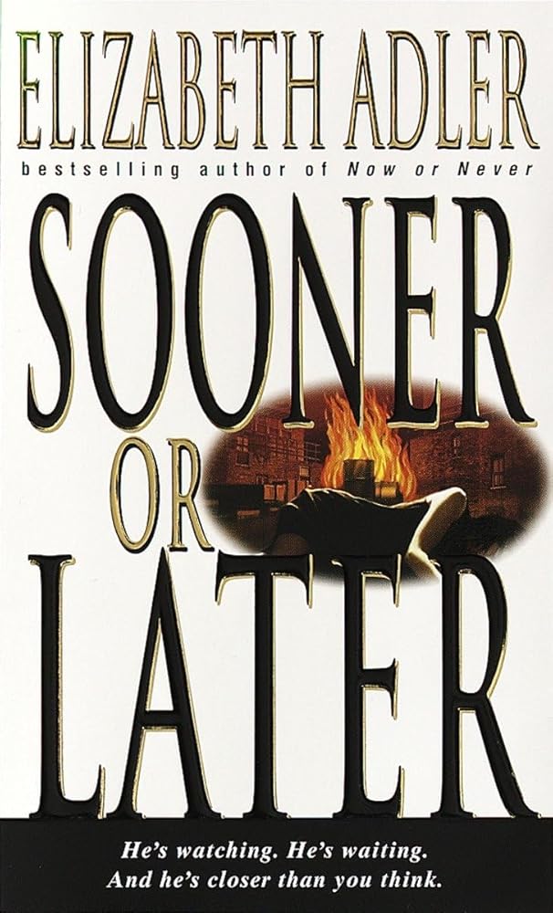 Sooner or Later: A Novel cover image