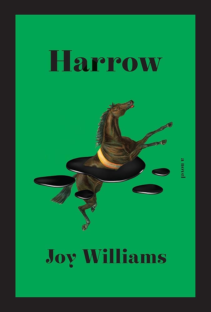 Harrow: A novel cover image