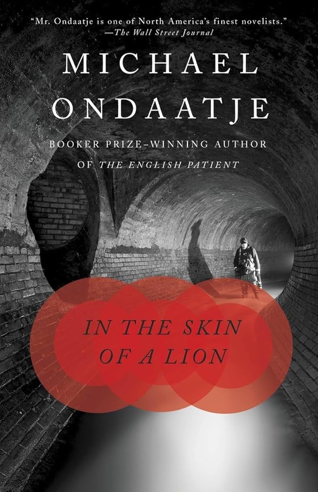 In the Skin of a Lion cover image