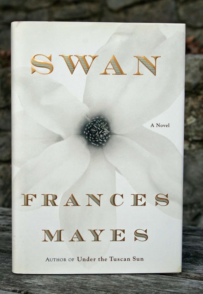 Swan: A Novel cover image
