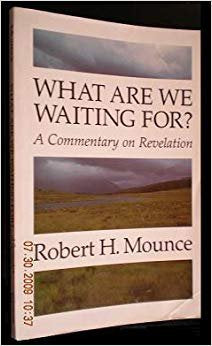 What Are We Waiting for: A Commentary on Revelation cover image