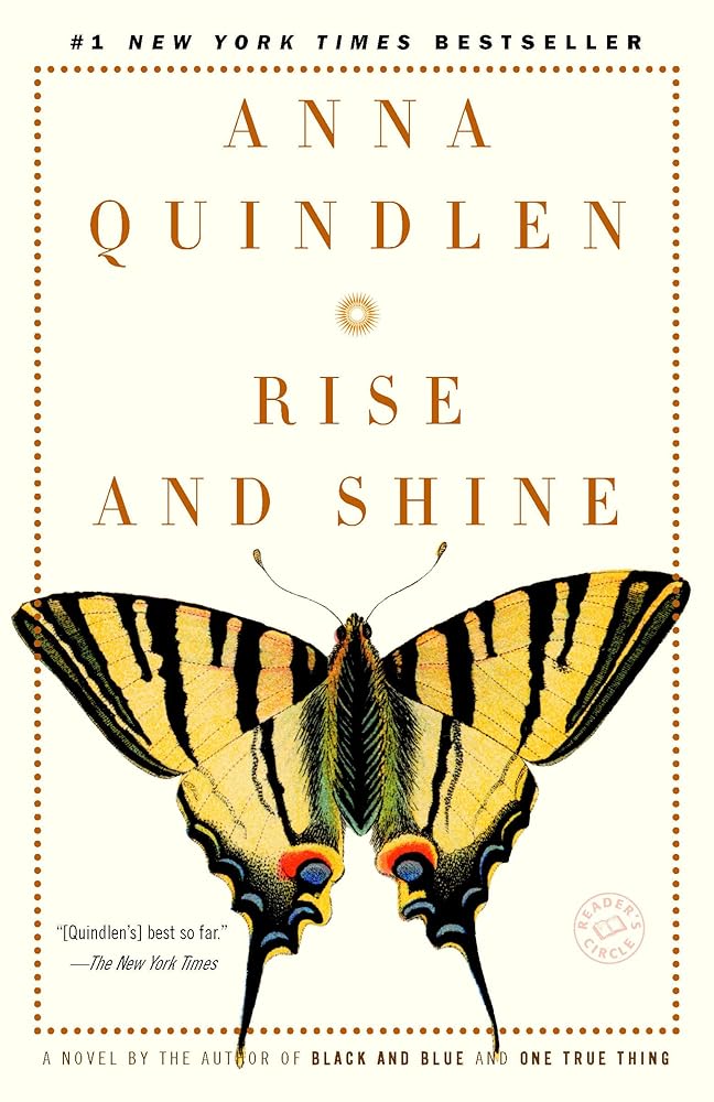 Rise and Shine: A Novel cover image