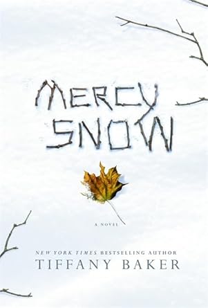 Mercy Snow: A Novel cover image