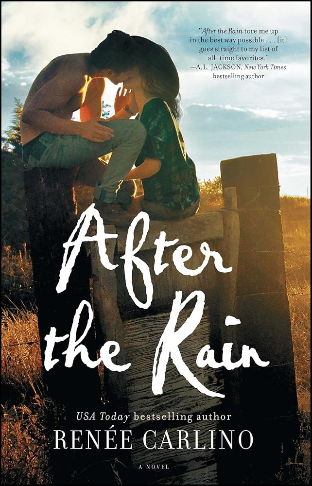 After the Rain: A Novel cover image