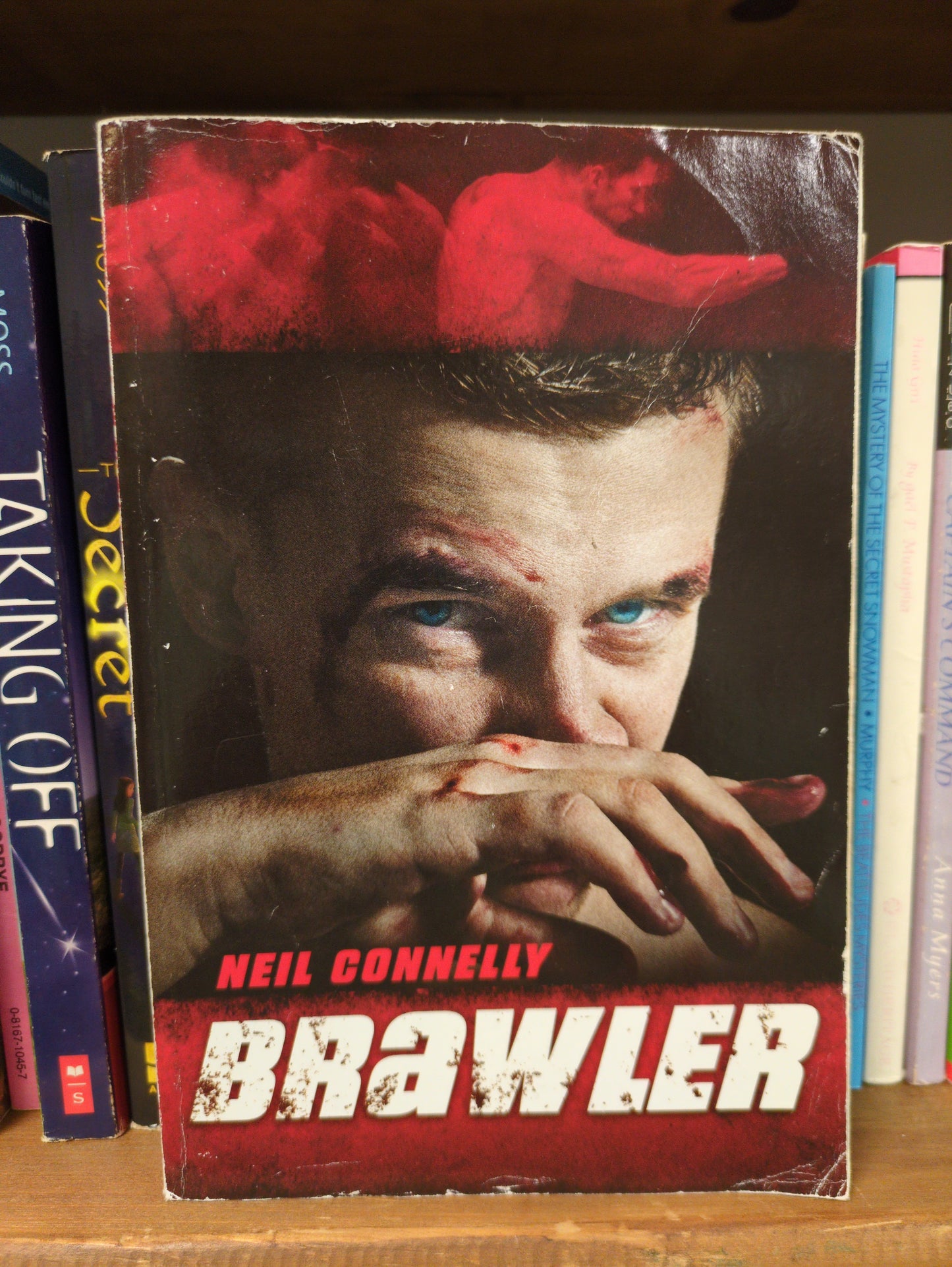 BRAWLER (PAPERBACK)