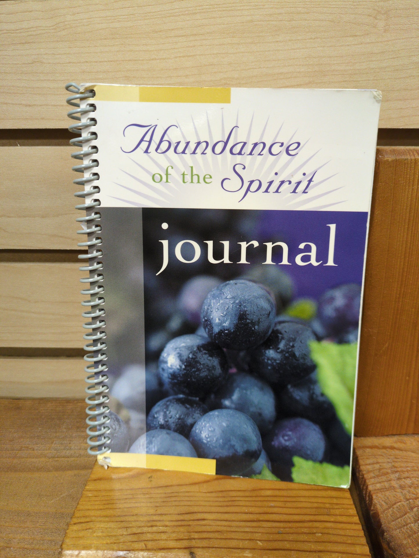 Abundance of the Spirit journal