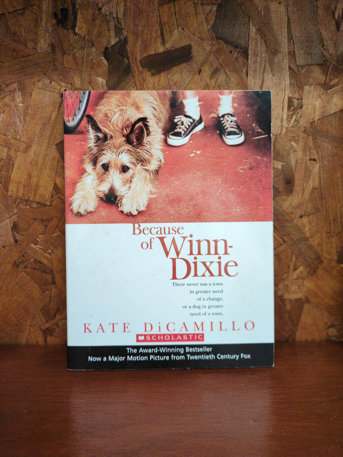Because of Winn-Dixie