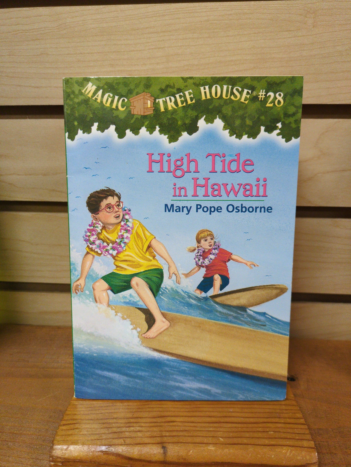 High Tide in Hawaii (Magic Tree House 28)
