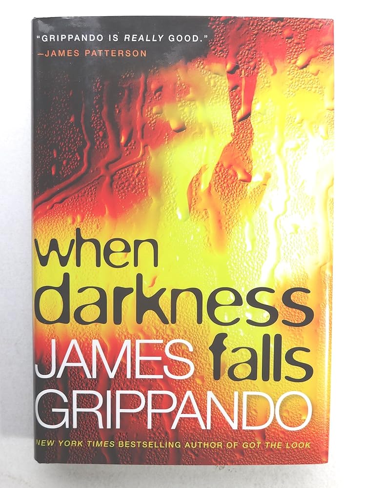 When Darkness Falls (Jack Swyteck Novel) cover image