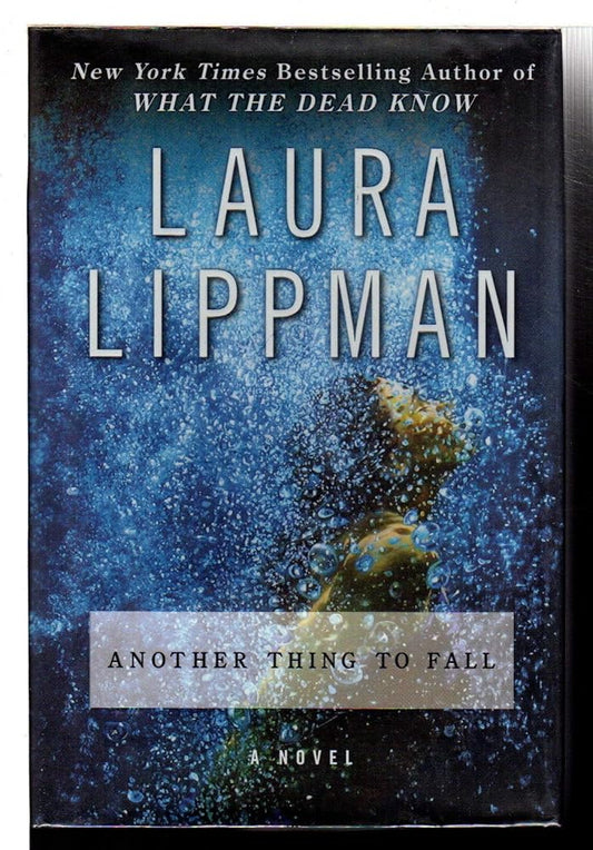 Another Thing to Fall: A Novel (Tess Monaghan Novel, 10) cover image