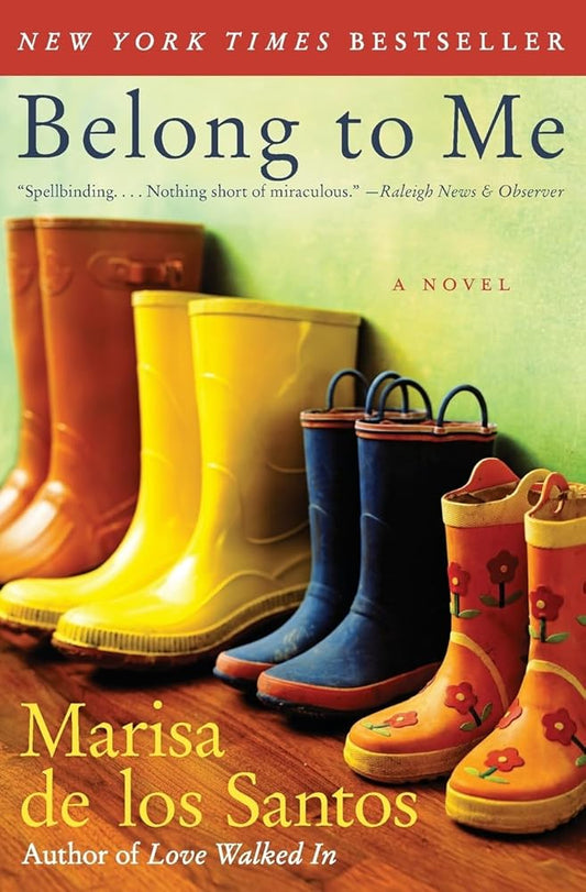 Belong to Me: A Novel cover image