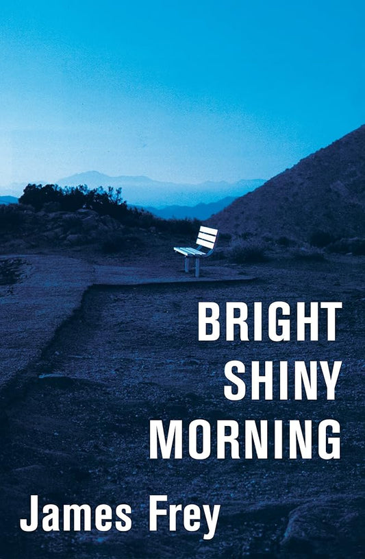 Bright Shiny Morning cover image
