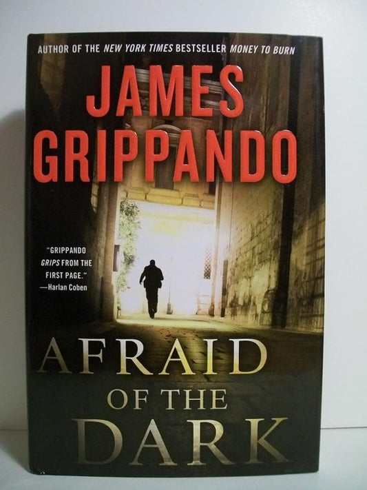 Afraid of the Dark (Jack Swyteck Novel) cover image