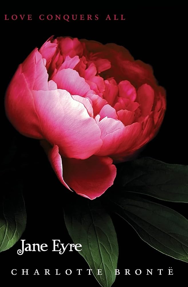 Jane Eyre (Teen Classics) cover image