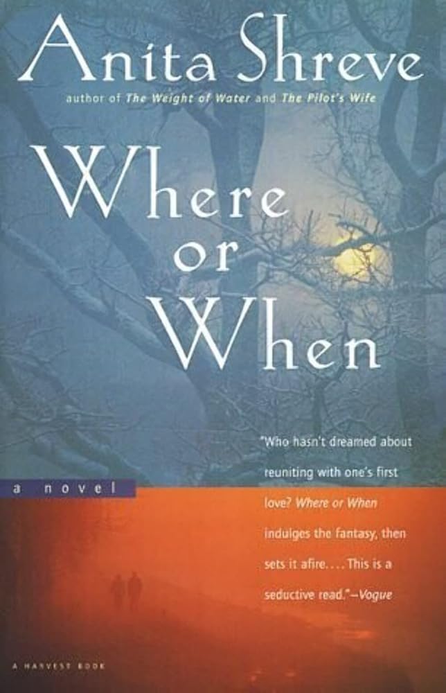 Where or When : A Novel cover image