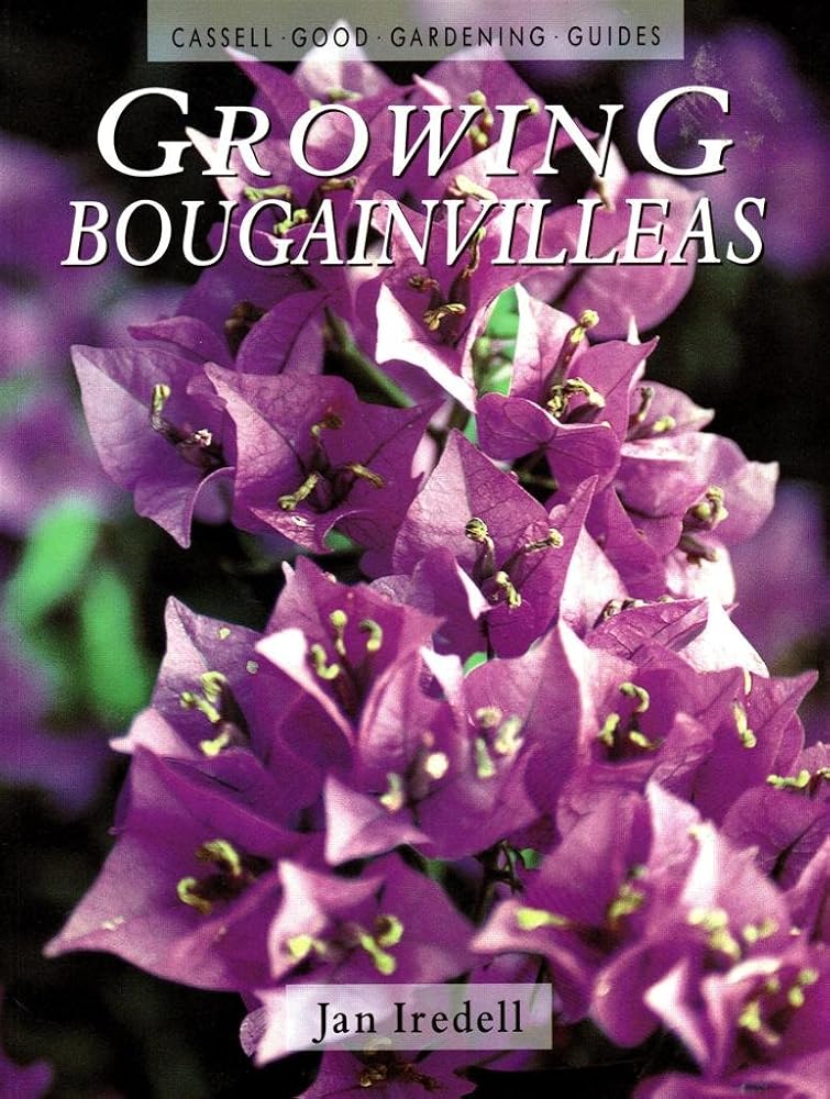 Growing Bougainvilleas (Cassell Good Gardening Guides) cover image