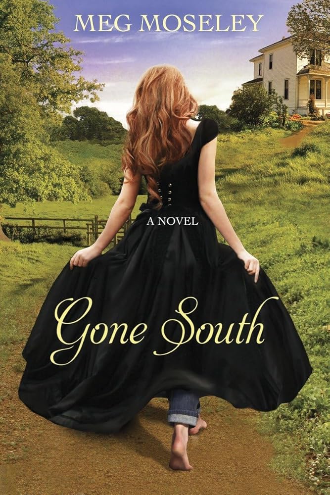 Gone South: A Novel cover image