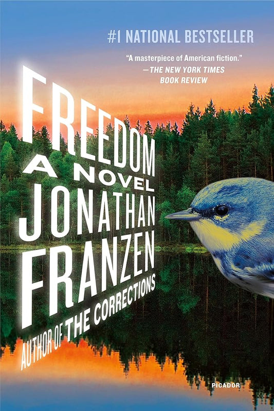 Freedom: A Novel cover image