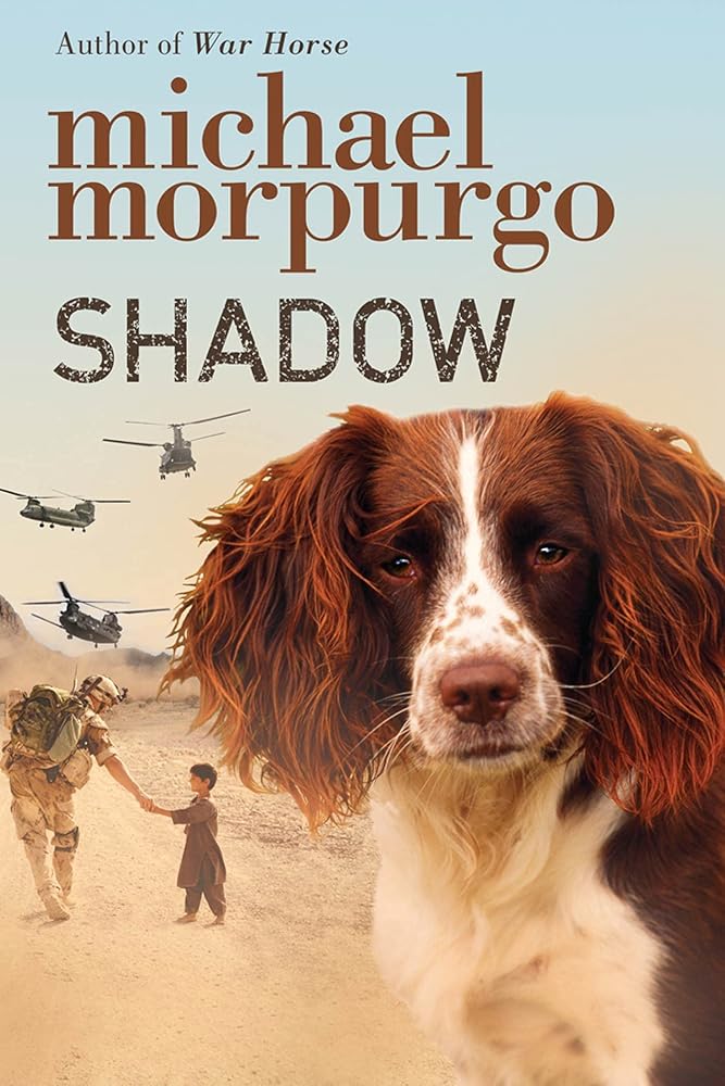 Shadow cover image