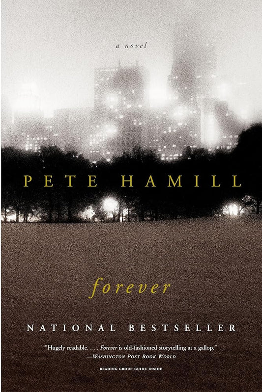 Forever: A Novel cover image