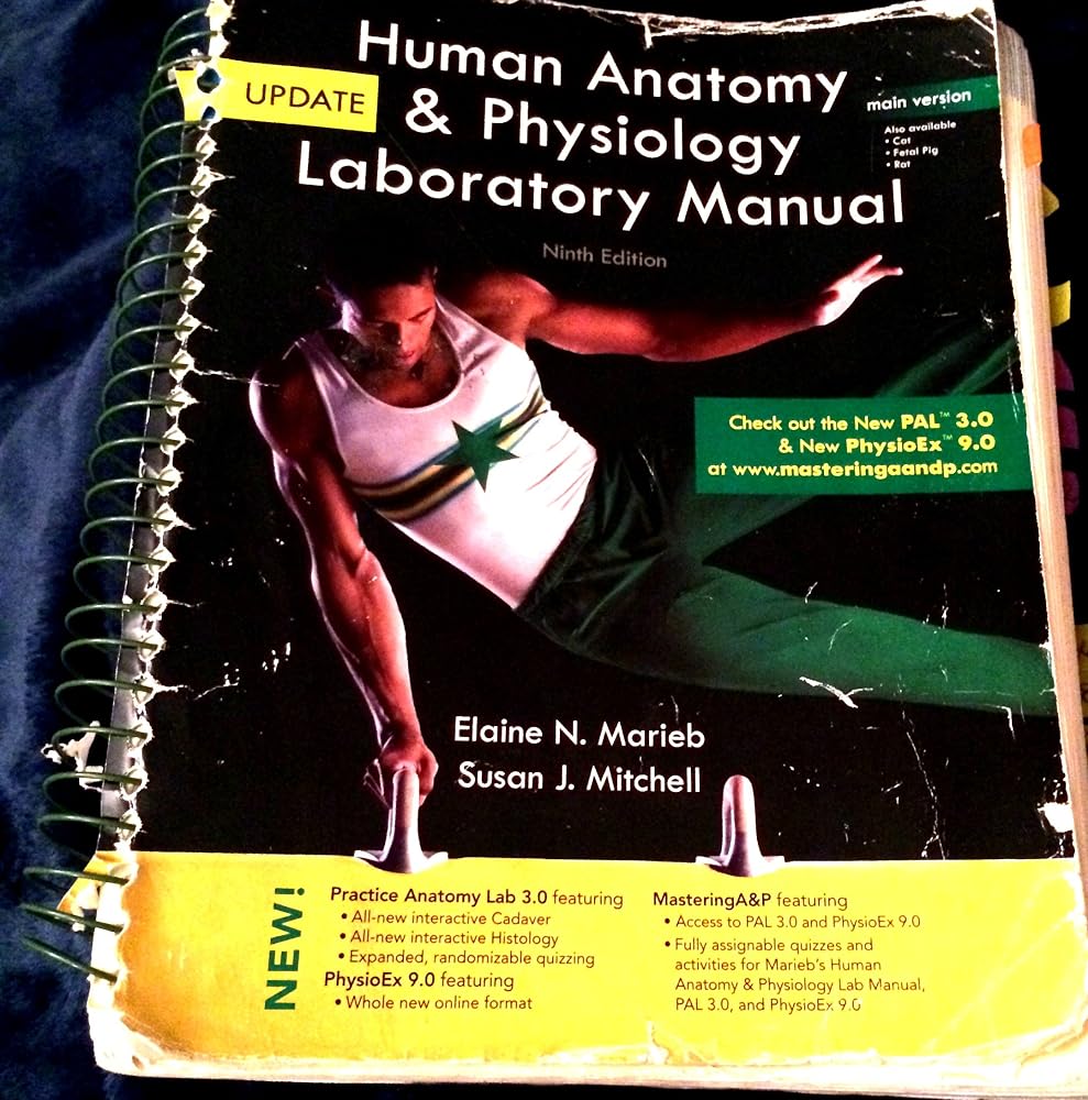Human Anatomy & Physiology: Main Version cover image
