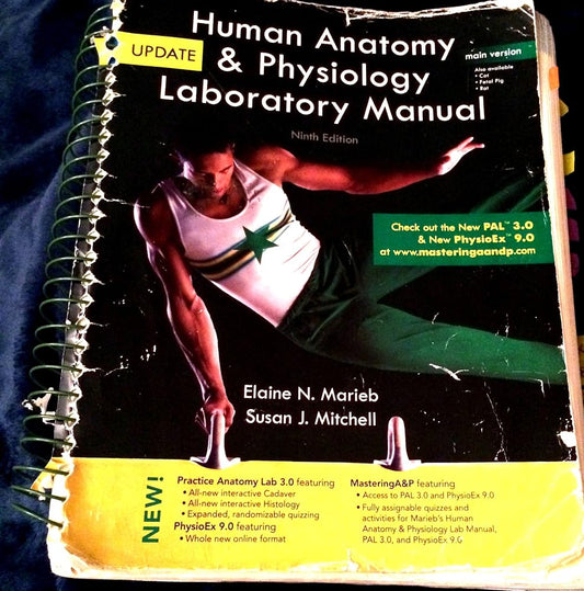 Human Anatomy & Physiology: Main Version cover image