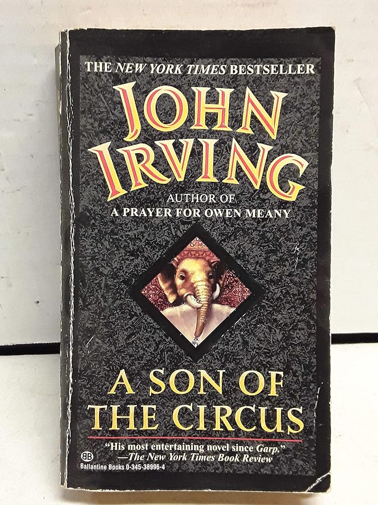 A Son of the Circus cover image