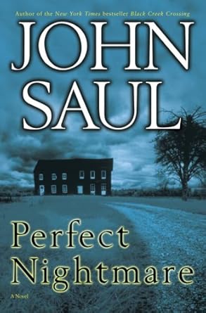 Perfect Nightmare: A Novel cover image
