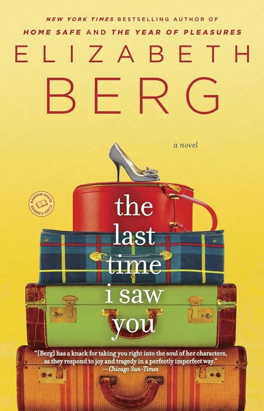 The Last Time I Saw You: A Novel cover image