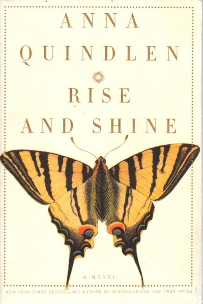 Rise and Shine: A Novel cover image