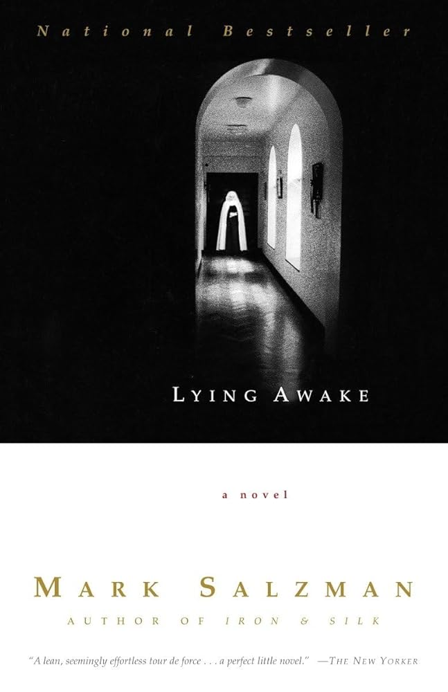 Lying Awake cover image