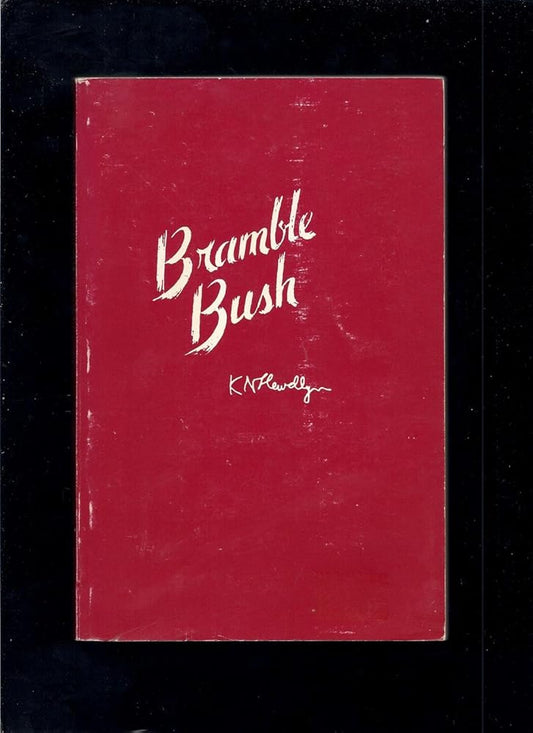 Bramble Bush: On Our Law and Its Study cover image