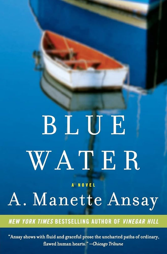 Blue Water: A Novel cover image