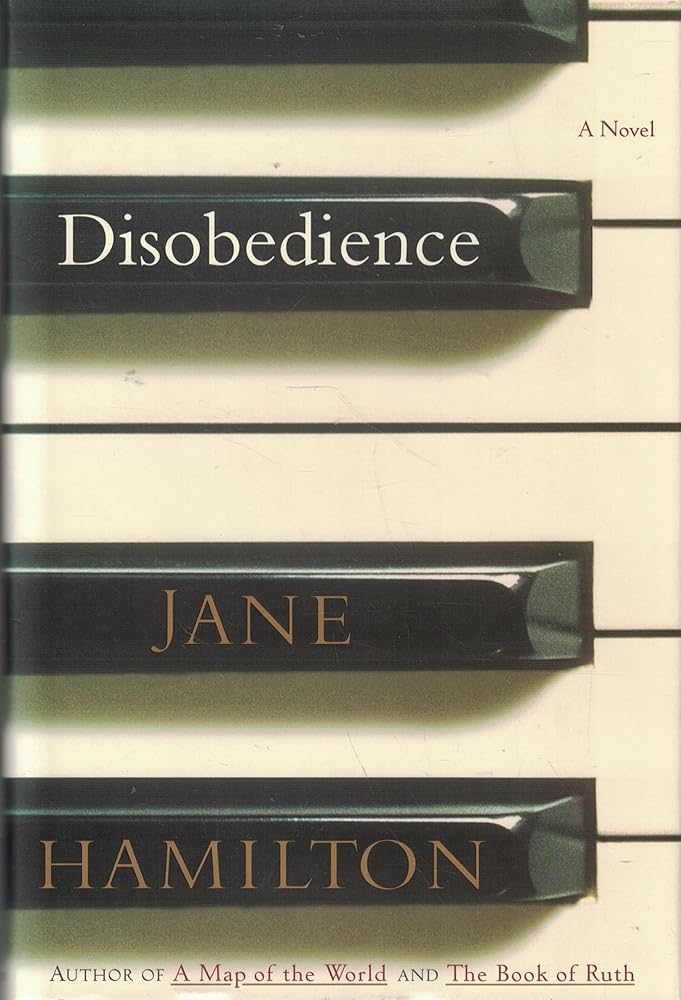 Disobedience: A Novel cover image