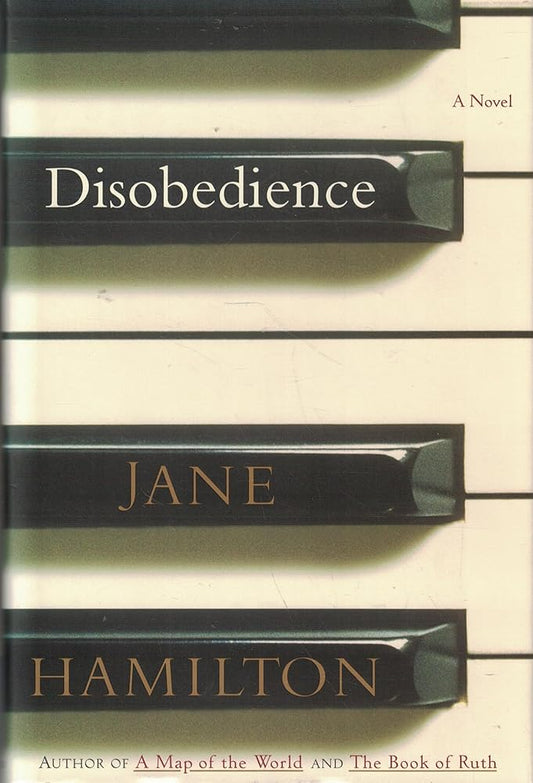 Disobedience: A Novel cover image