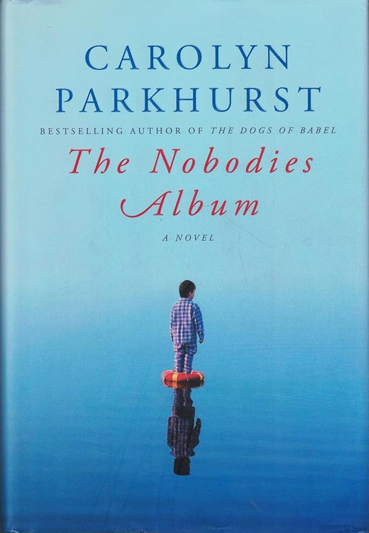 The Nobodies Album: A Novel cover image