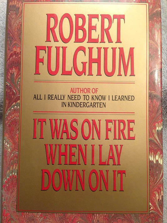 It Was on Fire When I Lay Down on It cover image