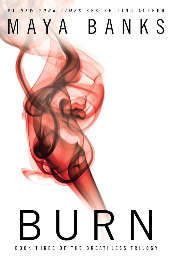 Burn cover image