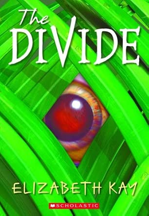 The Divide cover image