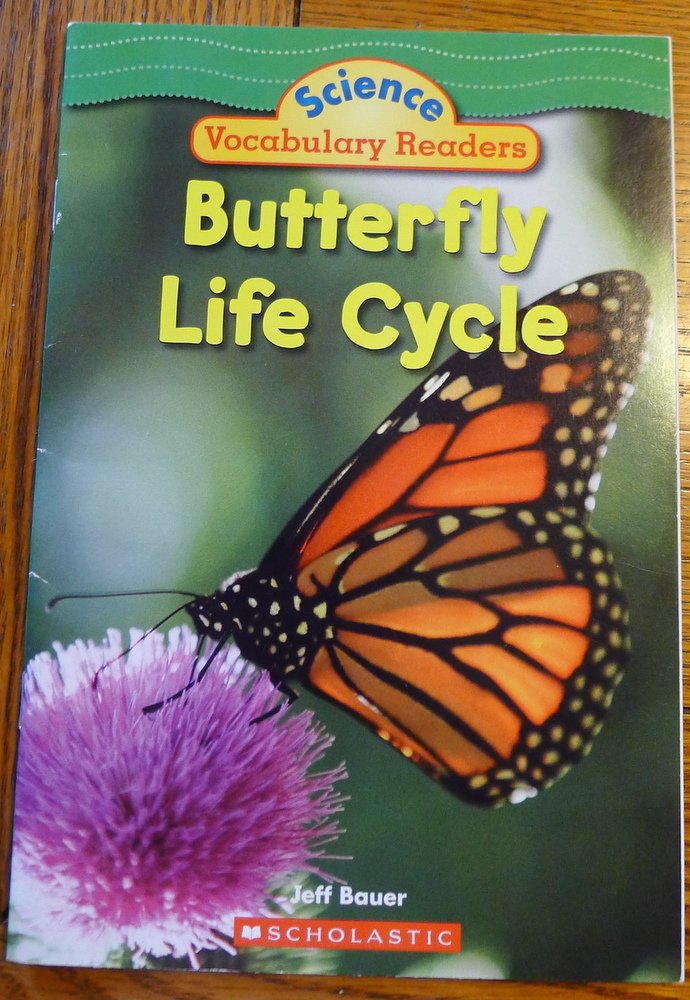 Butterfly Life Cycle cover image