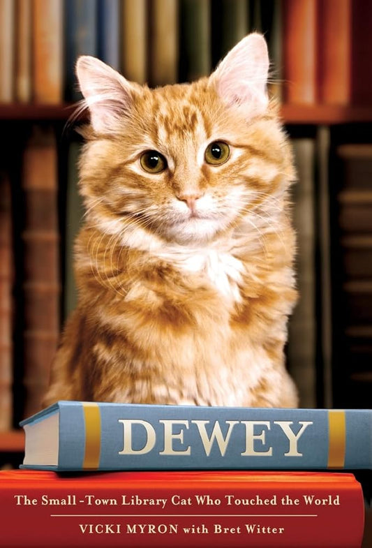 Dewey: The Small-Town Library Cat Who Touched the World cover image
