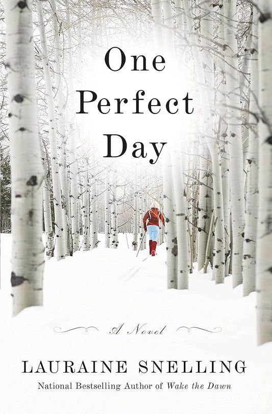 One Perfect Day: A Novel cover image