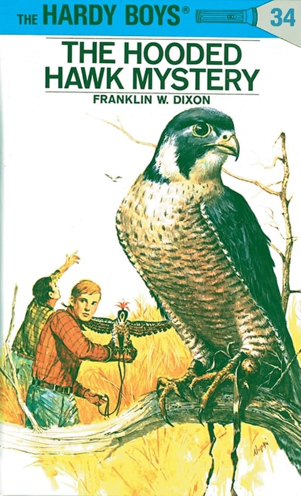 The Hooded Hawk Mystery (Hardy Boys, Book 34) cover image