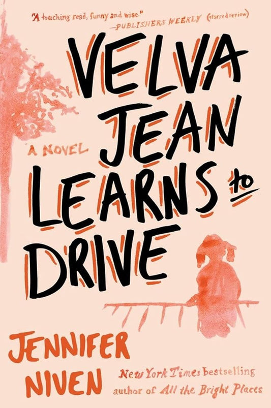 Velva Jean Learns to Drive: Book 1 in the Velva Jean series cover image