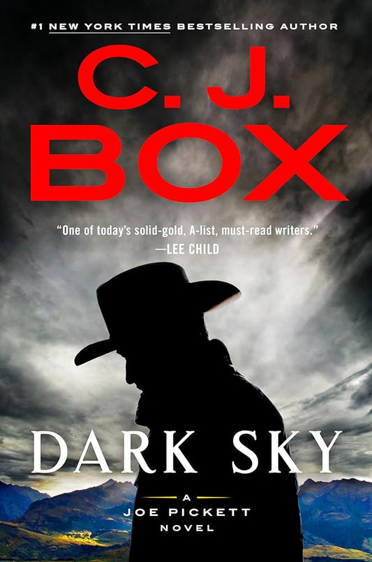 Dark Sky (A Joe Pickett Novel) cover image